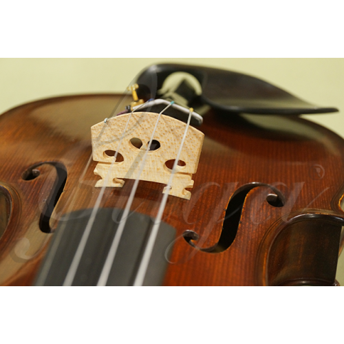 Modernization Bless Suri accesorii instrument, calus vioara (profesional)