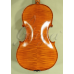 Viola 15.5” (39,3 cm)  Gliga (maestru)